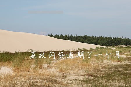 荔枝闪贷逾期了一个月 荔枝闪贷逾期了一个月