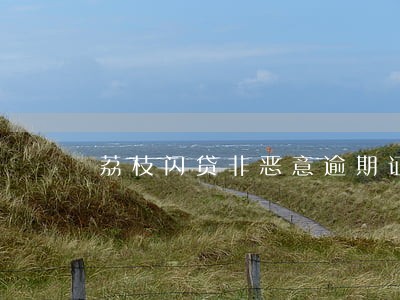 荔枝闪贷非恶意逾期证明 荔枝闪贷非恶意逾期证明