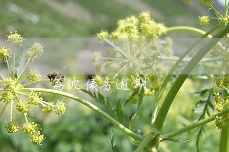 荔波债务逾期 荔波债务逾期