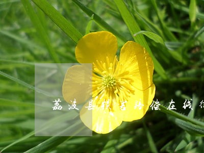 荔波县损害赔偿在线律师 荔波县损害赔偿在线律师
