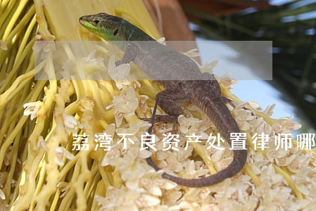 荔湾不良资产处置律师哪个好 荔湾不良资产处置律师哪个好
