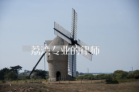 荔湾专业的律师 荔湾专业的律师