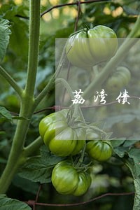 荔湾债务合同律师预约电话 荔湾债务合同律师预约电话