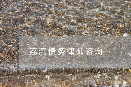 荔湾债务律师咨询