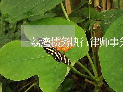 荔湾债务执行律师事务所 荔湾债务执行律师事务所