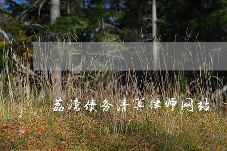 荔湾债务清算律师网站