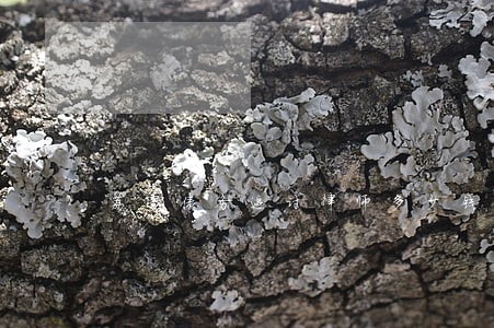 荔湾债务追讨律师多少钱 荔湾债务追讨律师多少钱