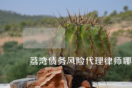 荔湾债务风险代理律师哪里找 荔湾债务风险代理律师哪里找