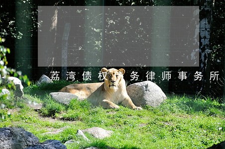 荔湾债权债务律师事务所 荔湾债权债务律师事务所