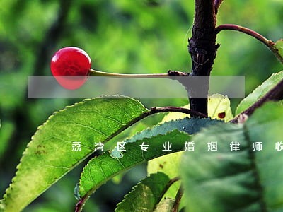 荔湾区专业婚姻律师收费 荔湾区专业婚姻律师收费
