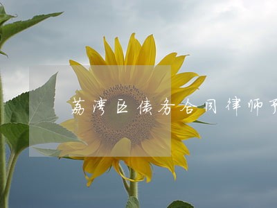 荔湾区债务合同律师预约电话 荔湾区债务合同律师预约电话