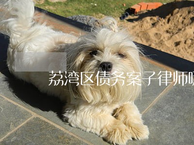 荔湾区债务案子律师哪里找 荔湾区债务案子律师哪里找
