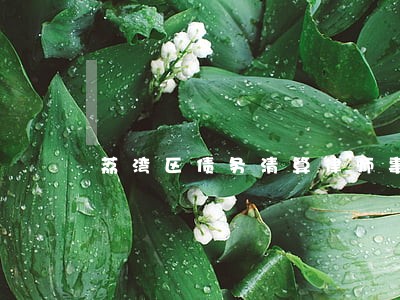 荔湾区债务清算律师事务所 荔湾区债务清算律师事务所