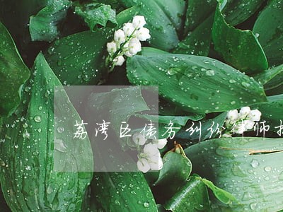 荔湾区债务纠纷律师排名 荔湾区债务纠纷律师排名