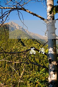 荔湾区免费法律咨询地址 荔湾区免费法律咨询地址