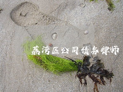 荔湾区公司债务律师 荔湾区公司债务律师