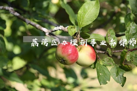 荔湾区办理刑事业务律师 荔湾区办理刑事业务律师