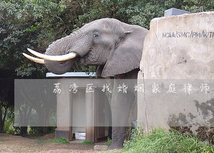 荔湾区找婚姻家庭律师多少钱 荔湾区找婚姻家庭律师多少钱