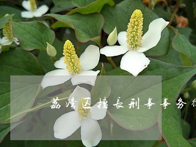 荔湾区擅长刑事事务律师 荔湾区擅长刑事事务律师
