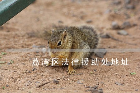 荔湾区法律援助处地址 荔湾区法律援助处地址