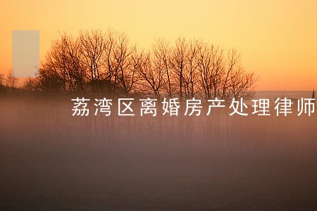 荔湾区离婚房产处理律师 荔湾区离婚房产处理律师