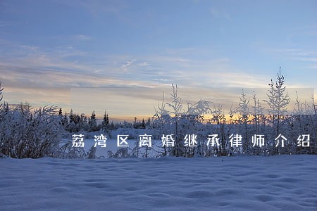 荔湾区离婚继承律师介绍 荔湾区离婚继承律师介绍