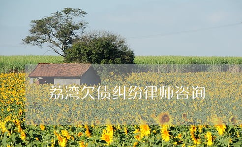 荔湾欠债纠纷律师咨询 荔湾欠债纠纷律师咨询