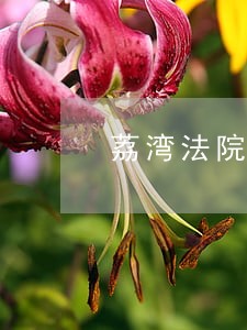 荔湾法院民四庭庭长