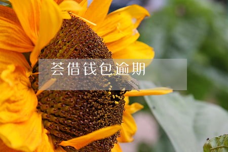 荟借钱包逾期 荟借钱包逾期