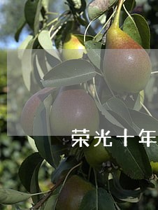荣光十年逾期协商 荣光十年逾期协商