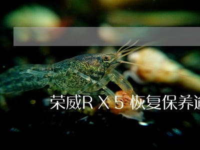 荣威RX5恢复保养逾期 荣威RX5恢复保养逾期