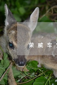 荣威车贷逾期 荣威车贷逾期