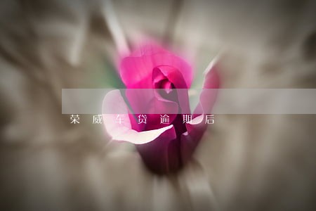 荣威车贷逾期后 荣威车贷逾期后