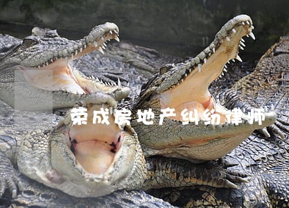 荣成房地产纠纷律师