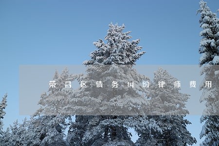 荣昌区债务纠纷律师费用 荣昌区债务纠纷律师费用