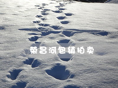 荣昌河包镇拍卖 荣昌河包镇拍卖
