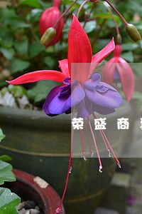 荣盛商票逾期金额 荣盛商票逾期金额