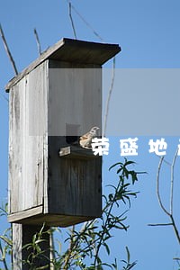 荣盛地产商票长时间逾期 荣盛地产商票长时间逾期