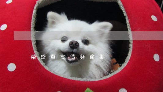 荣盛真实债务逾期 荣盛真实债务逾期