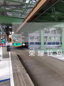 荣耀钱包逾期 荣耀钱包逾期