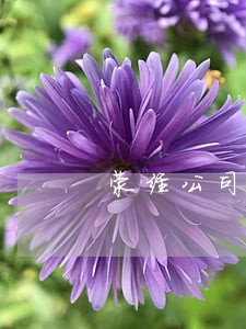荥经公司法务律师查询 荥经公司法务律师查询