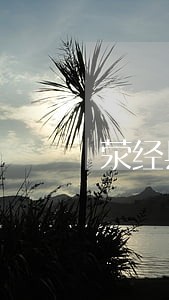 荥经县个人独资在线律师 荥经县个人独资在线律师
