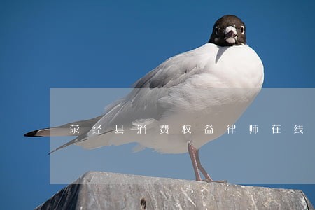 荥经县消费权益律师在线免费咨询 荥经县消费权益律师在线免费咨询