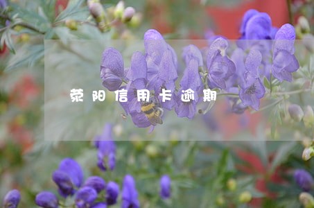 荥阳信用卡逾期