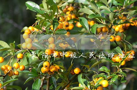 荥阳市中级人民法院地址