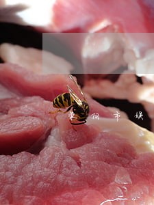 荥阳市娱乐法在线律师 荥阳市娱乐法在线律师
