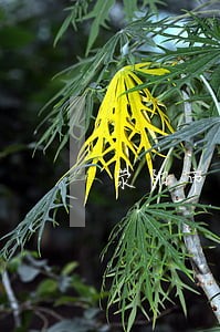 荥阳市法院崔庙厅审判厅长闫