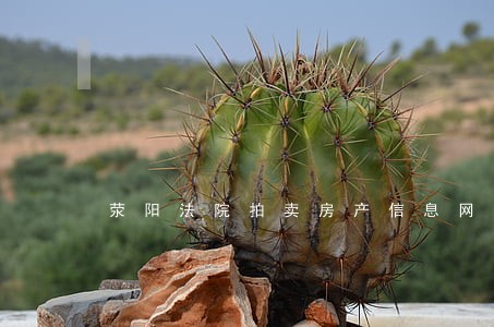 荥阳法院拍卖房产信息网