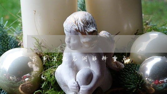 药事法规名词解释重点 药事法规名词解释重点
