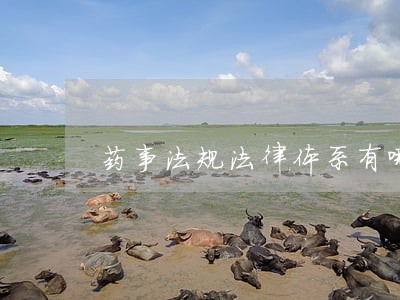 药事法规法律体系有哪些形式